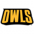 Kennesaw State Owls 2012-Pres Wordmark Logo Light Iron-on Stickers (Heat Transfers)