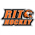 RIT Tigers 2004-Pres Alternate Logo3 Light Iron-on Stickers (Heat Transfers)