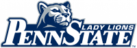 Penn State Nittany Lions 2001-2004 Alternate Logo Light Iron-on Stickers (Heat Transfers) 5