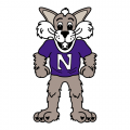 1998-Pres Northwestern Wildcats Mascot Logo Light Iron-on Stickers (Heat Transfers)