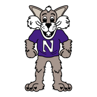 1998-Pres Northwestern Wildcats Mascot Logo Light Iron-on Stickers (Heat Transfers)