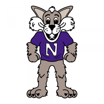 1998-Pres Northwestern Wildcats Mascot Logo Light Iron-on Stickers (Heat Transfers)