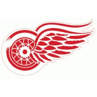 Detroit Red Wings Alternate Logo  Light Iron-on Stickers (Heat Transfers)