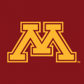 1986-Pres Minnesota Golden Gophers Alternate Logo Light Iron-on Stickers (Heat Transfers) 4