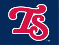 Tennessee Smokies Primary Logos 3