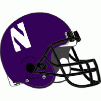 1994-Pres Northwestern Wildcats Helmet Logo Light Iron-on Stickers (Heat Transfers)