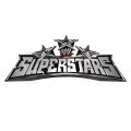 WWE Logo Light Iron-on Stickers (Heat Transfers) N3057