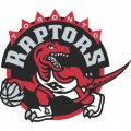 Toronto Raptors Primary Logo  Light Iron-on Stickers (Heat Transfers)