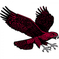 2007-Pres Maryland-Eastern Shore Hawks Secondary Logo Light Iron-on Stickers (Heat Transfers)