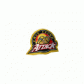 2000 01-2010 11 Owen Sound Attack Alternate Logo Light Iron-on Stickers (Heat Transfers)