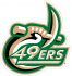 Charlotte 49ers Logo Light Iron-on Stickers (Heat Transfers)