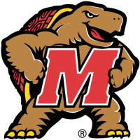 2001-Pres Maryland Terrapins Primary Logo Light Iron-on Stickers (Heat Transfers)