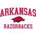 Arkansas Razorbacks 2009-Pres Alternate Logo Light Iron-on Stickers (Heat Transfers)