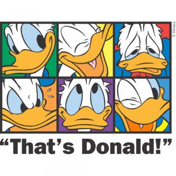 Donald Duck Light Iron On Stickers (Heat Transfers) version 21