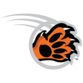 RIT Tigers 2004-Pres Alternate Logo5 Light Iron-on Stickers (Heat Transfers)