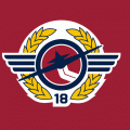 2007 08-Pres Windsor Spitfires Alternate Logo Light Iron-on Stickers (Heat Transfers)