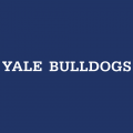 1998-Pres Yale Bulldogs Wordmark Logo Light Iron-on Stickers (Heat Transfers)