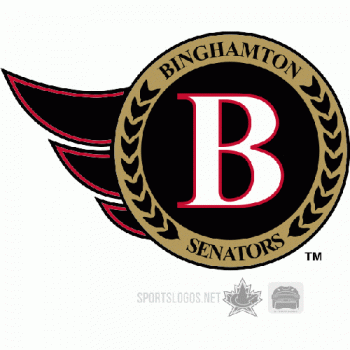 2003 04-2006 07 Binghamton Senators Secondary Logo Light Iron-on Stickers (Heat Transfers)