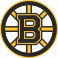 Boston Bruins Primary Logo Light Iron-on Stickers (Heat Transfers)