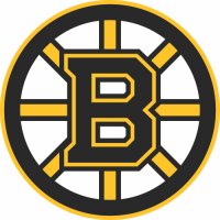 Boston Bruins Primary Logo Light Iron-on Stickers (Heat Transfers)