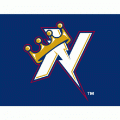 Northwest Arkansas Naturals cap logo (2010-pres)Light Iron-on Stickers (Heat Transfers) 02