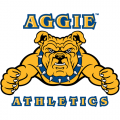 2006-Pres North Carolina A&T Aggies Alternate Logo Light Iron-on Stickers (Heat Transfers)