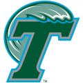 1998-Pres Tulane Green Wave Primary Logo Light Iron-on Stickers (Heat Transfers)