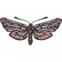 Butterfly Light Iron On Stickers (Heat Transfers) version 14