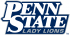 Penn State Nittany Lions 2001-2004 Wordmark Logo Light Iron-on Stickers (Heat Transfers)