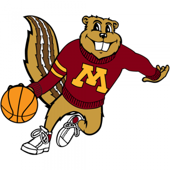 1986-Pres Minnesota Golden Gophers Mascot Logo Light Iron-on Stickers (Heat Transfers) 2