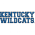 1989-2004 Kentucky Wildcats Wordmark Logo Light Iron-on Stickers (Heat Transfers)