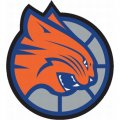 Charlotte Bobcats Alternate Logo  Light Iron-on Stickers (Heat Transfers)