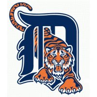 Detroit Tigers Primary Logo  Light Iron-on Stickers (Heat Transfers)