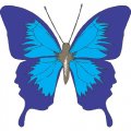 Butterfly Light Iron On Stickers (Heat Transfers) version 25