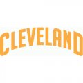 Cleveland Cavaliers Script Logo  Light Iron-on Stickers (Heat Transfers) version 2