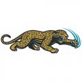 Jacksonville Jaguars Alternate Logo  Light Iron-on Stickers (Heat Transfers) version 6