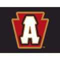 Altoona Curve cap logo(2011-pres)Light Iron-on Stickers (Heat Transfers) 01