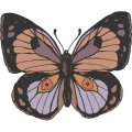 Butterfly Light Iron On Stickers (Heat Transfers) version 5