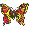 Butterfly Light Iron On Stickers (Heat Transfers) version 21