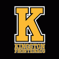 2012 13-Pres Kingston Frontenacs Alternate Logo Light Iron-on Stickers (Heat Transfers) 1