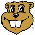 1986-Pres Minnesota Golden Gophers Mascot Logo Light Iron-on Stickers (Heat Transfers) 3