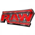 WWE Logo Light Iron-on Stickers (Heat Transfers) N3075