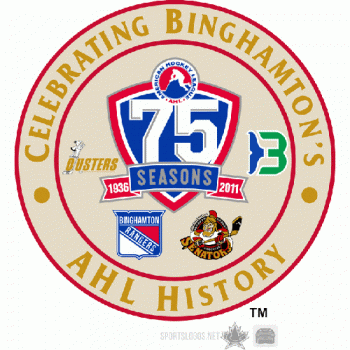 2010 11 Binghamton Senators Event Logo Light Iron-on Stickers (Heat Transfers)