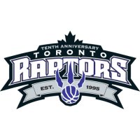 Toronto Raptors Anniversary Logo  Light Iron-on Stickers (Heat Transfers)