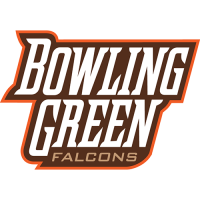 Bowling Green Falcons 1999-Pres Wordmark Logo Light Iron-on Stickers (Heat Transfers)