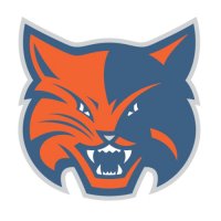 Charlotte Bobcats Alternate Logo  Light Iron-on Stickers (Heat Transfers) version 2