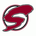 1995-2007 Guelph Storm Alternate Logo Light Iron-on Stickers (Heat Transfers)