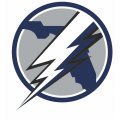 Tampa Bay Lightning Alternate Logo  Light Iron-on Stickers (Heat Transfers)