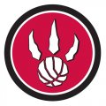 Toronto Raptors Alternate Logo  Light Iron-on Stickers (Heat Transfers) version 2