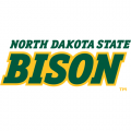 2012-Pres North Dakota State Bison Wordmark Logo Light Iron-on Stickers (Heat Transfers)